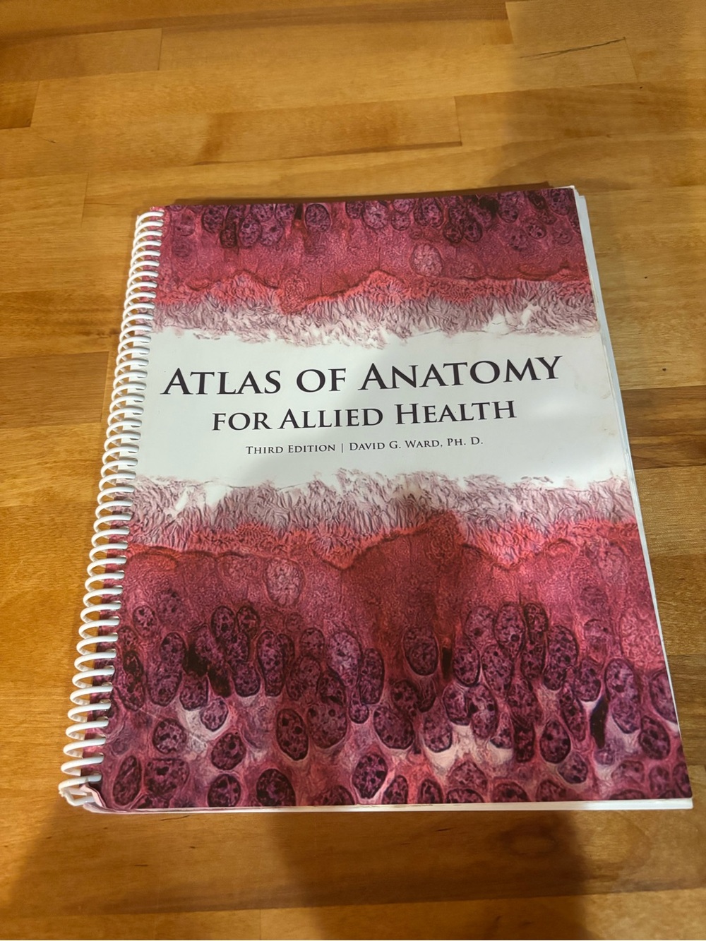 Atlas of Anatomy for Allied Health Spiral-Bound Book - Pink/Red like new